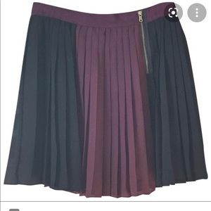 Club Monaco Black and Burgundy Pleated Mini Skirt